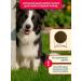 Pet's Brunch Dry food for dogs of medium rocks 4 kg - Buy Online on GoSupps.com