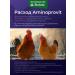 Biolatic Aminoprovit vitamins for birds and animals 1 kg protein complex  - Buy Online on GoSupps.com