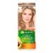 Garnier Hair dye 8.1 sandy shore 1 pc - Buy Online on GoSupps.com