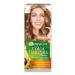 Garnier Hair dye cream 7 cappuccino 1 pc - Buy Online on GoSupps.com