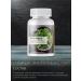 Spring of Health Biologically active food supplement "Vita-Jode+C" - Buy Online on GoSupps.com