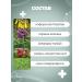 4HEALTH Ointment from psoriasis day and night 40 g - Buy Online on GoSupps.com