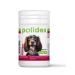 Polydex Vitamins for dogs POLIDEX Recovit 60 - Buy Online on GoSupps.com