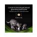 Create Comfort Dry food for cats PRO PLAN HA HYPPOALLERGENIC 325 g - Buy Online on GoSupps.com
