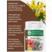 Spring of Health Vitamin complex for liver heparosis bioticrosis - Buy Online on GoSupps.com