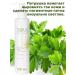 Soul of Crimea Gel for washing the face cleansing skin washing with aloe vera - Buy Online on GoSupps.com