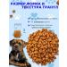 IMPENATURAL Imperial dry food regular 10 kg - Buy Online on GoSupps.com