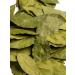 San Ios Bay leaf whole 20 g - Buy Online on GoSupps.com