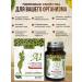 Dioxtea A1 L-Carnitine for weight loss - Buy Online on GoSupps.com
