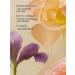 Zeitun Body scrub with valuable oils "Gorgeous Peony" 250ml - Buy Online on GoSupps.com