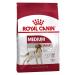 ROYAL CANIN Medium Adult for dogs 3 kg medium - Buy Online on GoSupps.com