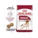 ROYAL CANIN Medium Adult for dogs 3 kg medium - Buy Online on GoSupps.com