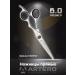 ARTERO Hairdressers Nebula straight 6.0 "