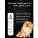 Doctor Groom Set of shampoo and air conditioning for caring for white hair of dogs - Buy Online on GoSupps.com