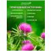 Altai procurement officer Milk thistle capsule 60 pcs - Buy Online on GoSupps.com