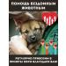 BLITZ Dry food Sensitive with a lamb for puppies 1.8 kg - Buy Online on GoSupps.com