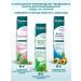 Himalaya Since 1930 Toothpaste with fluoride "Complex care" 3 pcs - Buy Online on GoSupps.com