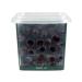 MARMARABIRLIK Slocked olives series Kuru Sele Calibration 3XS 400 gr. - Buy Online on GoSupps.com