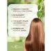 Nevskaya Cosmetics Hair shampoo against dandruff restoring 2 x 400ml - Buy Online on GoSupps.com