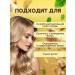 GreenAurum Salusfant solid shampoo ginger for oily hair 2pcs - Buy Online on GoSupps.com