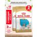 ROYAL CANIN Dry French Bulldog Feed for Puppies Bulldog 3 kg 2 pcs