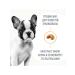 ROYAL CANIN Dry French Bulldog Feed for Puppies Bulldog 3 kg 2 pcs - Buy Online on GoSupps.com