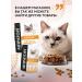 Miratorg Wet food for cats Expert Hepatic 80 g x 24 pcs - Buy Online on GoSupps.com