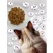 Miratorg Wet food for cats Expert Renal 80 g x 24 pcs - Buy Online on GoSupps.com