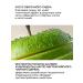 Green Mama Foot gel -groove smooth heels 200 ml - 2 pcs - Buy Online on GoSupps.com