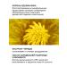 Green Mama Cream for removing makeup series and dandelion 170 ml - 2 pcs - Buy Online on GoSupps.com