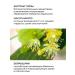 Green Mama Night face cream with linden and hawthorn Bioregeneration 100 ml (2 pcs.) - Buy Online on GoSupps.com