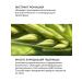 Green Mama Night cream-hydrobalance for the face restorative 100 ml - 2 - Buy Online on GoSupps.com
