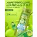 Garnier Hair shampoo strengthening 2B1