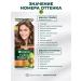 Garnier Persistent hair cream Color Naturals 6 - Buy Online on GoSupps.com