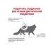 ROYAL CANIN Dry food Early Renal for cats 400 grams - Buy Online on GoSupps.com