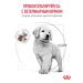 ROYAL CANIN Dry food for gastrointestinal puppy puppies 1 kg - Buy Online on GoSupps.com
