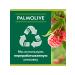 PALMOLIVE Toilet soap watermelon and raspberry 90g 12 pcs - Buy Online on GoSupps.com