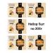 IIN Marmalade honey dried apricots figs prunes set of 5pcs - Buy Online on GoSupps.com