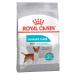 ROYAL CANIN Urinary Care Mini for dogs 1 kg Urinaries - Buy Online on GoSupps.com