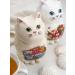 GET&JOY Black tea in a ceramic teapier cat-color city 680 ml - Buy Online on GoSupps.com