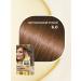 Only Bio Persistent hair dye 6.0 natural light brown 2 pcs - Buy Online on GoSupps.com