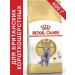 ROYAL CANIN British shorthair adult for cats 400 grams British