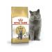 ROYAL CANIN British shorthair adult for cats 400 grams British - Buy Online on GoSupps.com