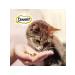 DREAMIES A treat for cats and kittens with cheese 6pcs (60g) - Buy Online on GoSupps.com