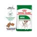 ROYAL CANIN Mini adult for dogs 800 grams - Buy Online on GoSupps.com