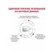 ROYAL CANIN Gastrointestinal for cats 350 g of gastrointestinal - Buy Online on GoSupps.com