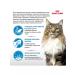 ROYAL CANIN Indoor Long Hair for cats 400 g Indore Long Heir - Buy Online on GoSupps.com