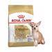 ROYAL CANIN Chihuahua Adult for dogs 500 grams Chihuahua - Buy Online on GoSupps.com
