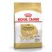 ROYAL CANIN Chihuahua Adult for dogs 500 grams Chihuahua - Buy Online on GoSupps.com