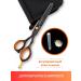 Cussi Hairdressing scissors Filray 5.5 - Buy Online on GoSupps.com